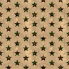 Windham Fabrics All American Camo Stars Tan
