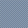 Windham Fabrics Front Porch Picnic Gingham Sky