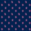 Andover Fabrics Tradition Star Burst Blue