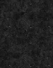 Wilmington Prints Essentials Spatter Texture 108 Inch Wide Backing Fabric Black