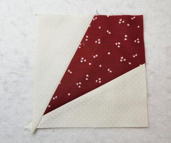 Catcus in the Cabin Quilt Sew-Along