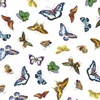 Michael Miller Fabrics Botanical Garden Bright Butterflies White