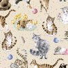Maywood Studio Whiskers and Paws Directional Cats Cream