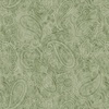 Blank Quilting Paisley Jane 108 Inch Wide Backing Fabric Sage