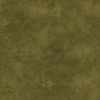 Maywood Studio Color Wash Woolies Flannel Olive Branch