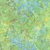 Timeless Treasures Tonga Batik Mayfair Pond Limelight