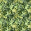 QT Fabrics Serenity Mottled Blender Green