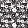 Blank Quilting Black Tie II 108 Inch Wide Backing Fabric Floral Black/White