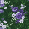 Robert Kaufman Fabrics Georgina Floral Evergreen