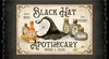 P&B Textiles Hocus Pocus Black Hat Apothecary Panel