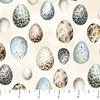 Northcott Feathered Nest Eggs Cream