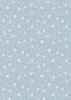 Lewis and Irene Fabrics A Winter's Moon Frosty Ice Iced Grey with Pearl