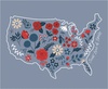 Riley Blake Designs Red White and True Sweet Land of Liberty Panel