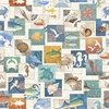 QT Fabrics Got Your Back 108 Inch Wide Backing Fabric Sealife Patch Cream