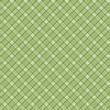 Riley Blake Designs Front Porch Plaid Green