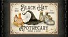 P&B Textiles Hocus Pocus Black Hat Apothecary Panel