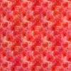 In The Beginning Fabrics Blooming Day and Night Beauties