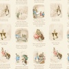 Riley Blake Designs Peter Rabbit and Benjamin Bunny Story Time Cream