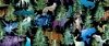 2026 All Pacific Northwest Shop Hop (Oregon) Silhouette Vertical Black/Multi