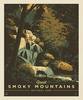 Riley Blake Designs National Parks Poster Panel Great Smoky Mountains