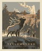Riley Blake Designs National Parks Poster Panel Yellowstone