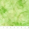Northcott Infatuation Tonal Texture Green