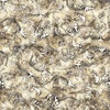 QT Fabrics Savage Kingdom Dino Bones Sand
