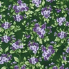Robert Kaufman Fabrics Georgina Flowers Evergreen