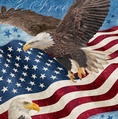 Northcott Stonehenge Stars and Stripes 13 Panel