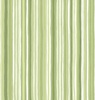 Maywood Studio Windflower Stripe Green