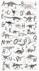 Robert Kaufman Fabrics Alphabetosaurus Alphabet Panel Grey