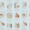 Riley Blake Designs Peter Rabbit and Benjamin Bunny Story Time Blue