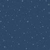 P&B Textiles Polar Pals Twinkle Star Blender Dark Blue