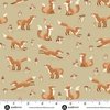 Andover Fabrics Hello Autumn Fox Tales Cream