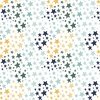 Riley Blake Designs It's A Boy Stars White