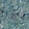 Hoffman Fabrics Jelly Fish Batiks Water Splash Denim