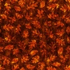 QT Fabrics Autumn Spice Leaf Blender Rust