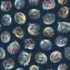 QT Fabrics Endless Blues Sea Turtle Circle Vignette Teal