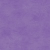Maywood Studio Shadow Play Violet Tulip