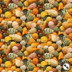 Clothworks The Secret Life of Squirrels III Gourds Multi Clothworks The Secret Life of Squirrels III Gourds Multi