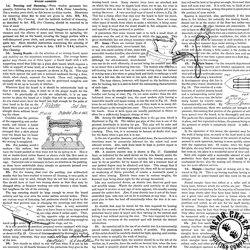 Riley Blake Designs Press On Clothing Care Copy White