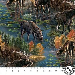 Northcott Naturescapes Autumn Woodland Scenic Blue/Multi