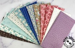 Lori Holt Extra Wide Strip Pack - JULY 2025 Lori Holt Extra Wide Strip Pack - JULY 2025
