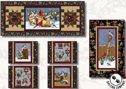 Frozen in Time Free Quilt Pattern Frozen in Time Free Quilt Pattern