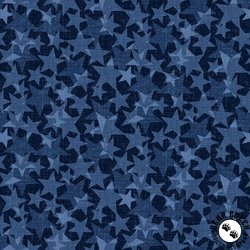 Studio E Fabrics Red White and Starry Blue Too 108 Inch Wide Backing Fabric Tonal Stars