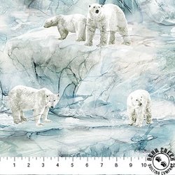 Northcott Tundra Crossing Tundra Scenic Light Blue/Multi