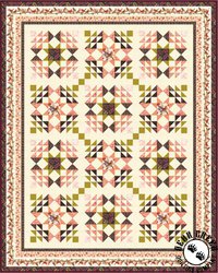 Canyon Birds Free Quilt Pattern Canyon Birds Free Quilt Pattern