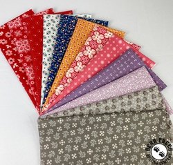 Lori Holt Extra Wide Strip Pack - MAY 2025 Lori Holt Extra Wide Strip Pack - MAY 2025