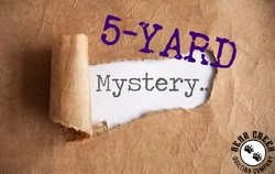 5 Yard Mystery Fabric Bundle
