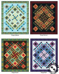 Flight Plan Free Quilt Pattern